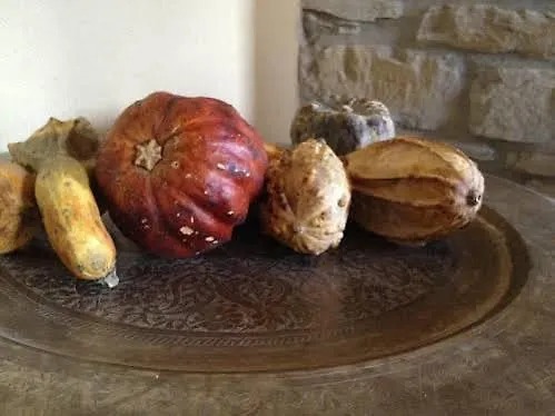 Travo B&B Gli Orti Del Trebbia فندق مبيت وإفطار